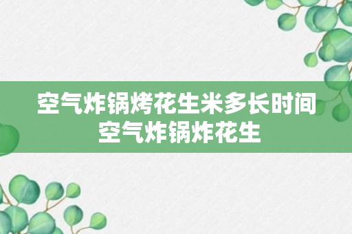 空气炸锅烤花生米多长时间 空气炸锅炸花生