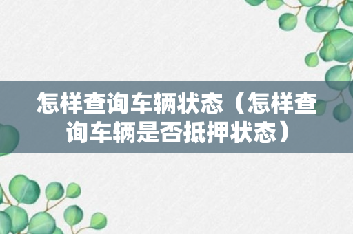 怎样查询车辆状态（怎样查询车辆是否抵押状态）