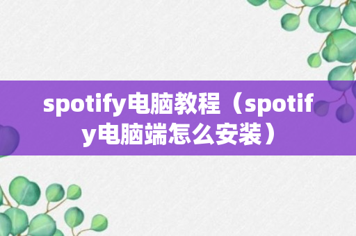 spotify电脑教程（spotify电脑端怎么安装）