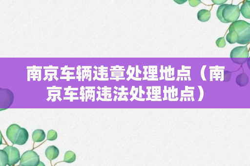 南京车辆违章处理地点（南京车辆违法处理地点）