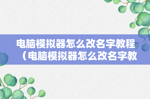 电脑模拟器怎么改名字教程（电脑模拟器怎么改名字教程视频）