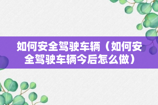 如何安全驾驶车辆（如何安全驾驶车辆今后怎么做）