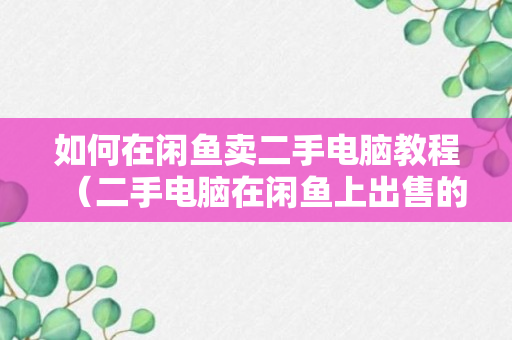 如何在闲鱼卖二手电脑教程（二手电脑在闲鱼上出售的过程方法）