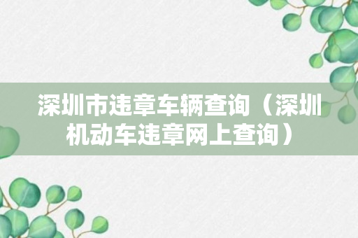 深圳市违章车辆查询（深圳机动车违章网上查询）