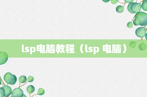 lsp电脑教程（lsp 电脑）