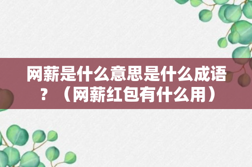 网薪是什么意思是什么成语？（网薪红包有什么用）