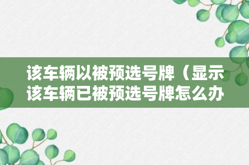 该车辆以被预选号牌（显示该车辆已被预选号牌怎么办）