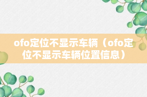 ofo定位不显示车辆（ofo定位不显示车辆位置信息）