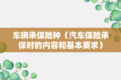 车辆承保险种（汽车保险承保时的内容和基本要求）