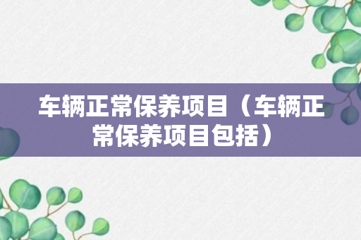 车辆正常保养项目（车辆正常保养项目包括）