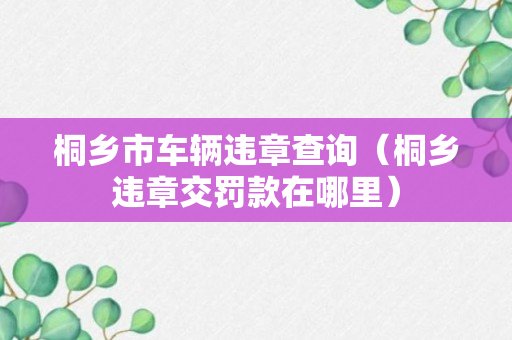 桐乡市车辆违章查询（桐乡违章交罚款在哪里）