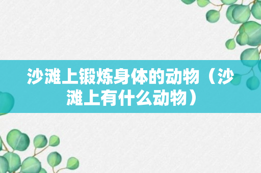 沙滩上锻炼身体的动物（沙滩上有什么动物）