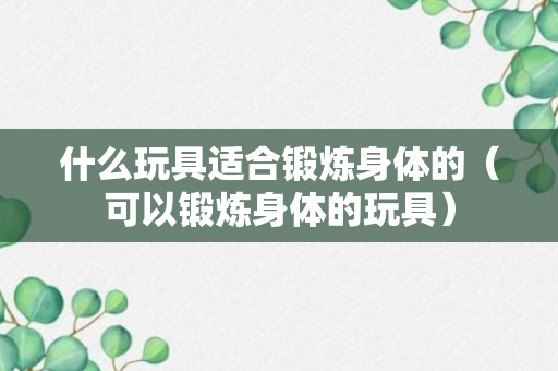 什么玩具适合锻炼身体的（可以锻炼身体的玩具）