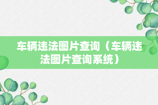 车辆违法图片查询（车辆违法图片查询系统）