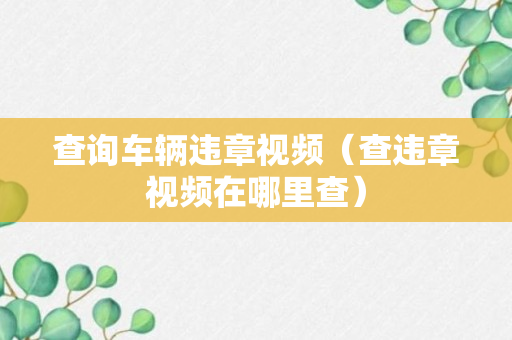 查询车辆违章视频（查违章视频在哪里查）