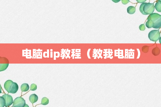 电脑dip教程（教我电脑）