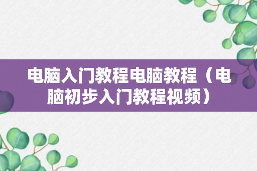 电脑入门教程电脑教程（电脑初步入门教程视频）