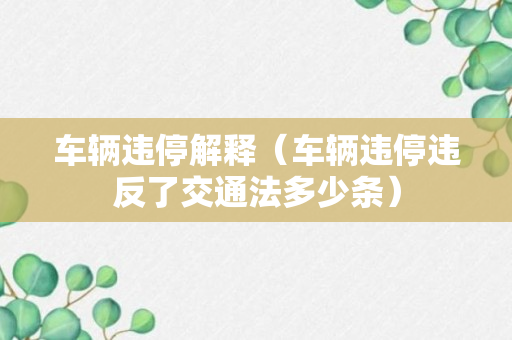 车辆违停解释（车辆违停违反了交通法多少条）