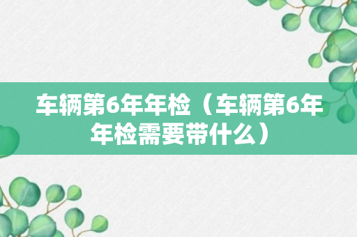 车辆第6年年检（车辆第6年年检需要带什么）