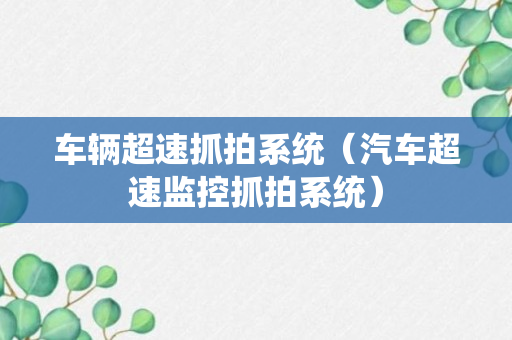 车辆超速抓拍系统（汽车超速监控抓拍系统）