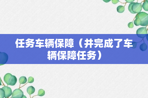 任务车辆保障（并完成了车辆保障任务）