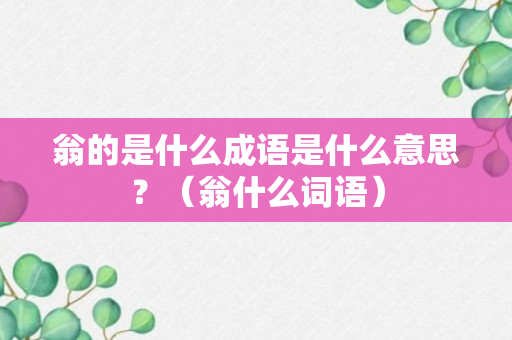 翁的是什么成语是什么意思？（翁什么词语）