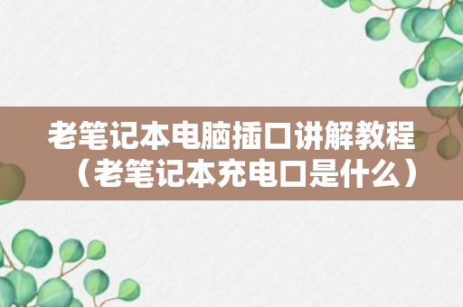 老笔记本电脑插口讲解教程（老笔记本充电口是什么）