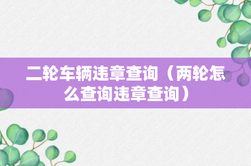 二轮车辆违章查询（两轮怎么查询违章查询）