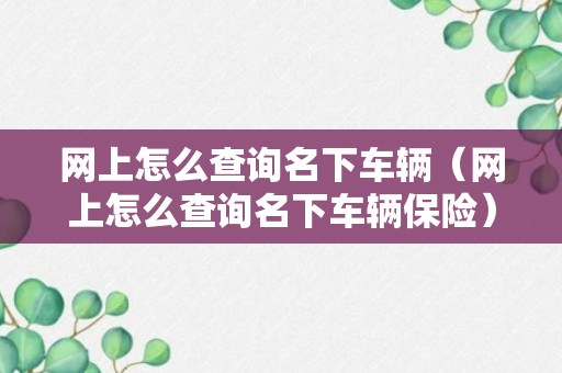 网上怎么查询名下车辆（网上怎么查询名下车辆保险）