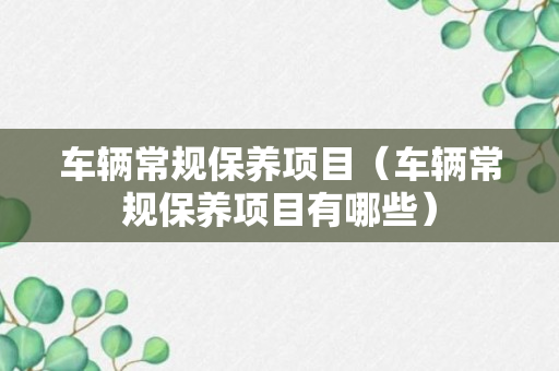 车辆常规保养项目（车辆常规保养项目有哪些）