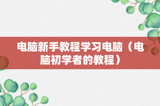 电脑新手教程学习电脑（电脑初学者的教程）