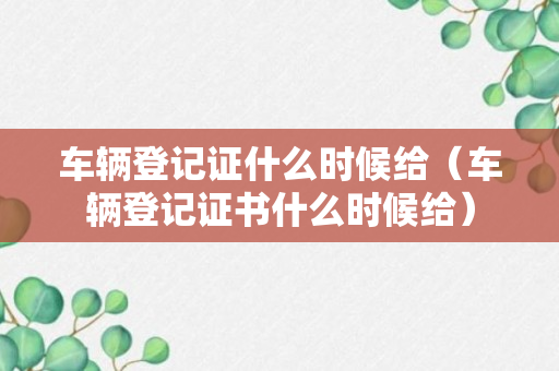 车辆登记证什么时候给（车辆登记证书什么时候给）