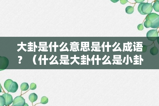 大卦是什么意思是什么成语？（什么是大卦什么是小卦）