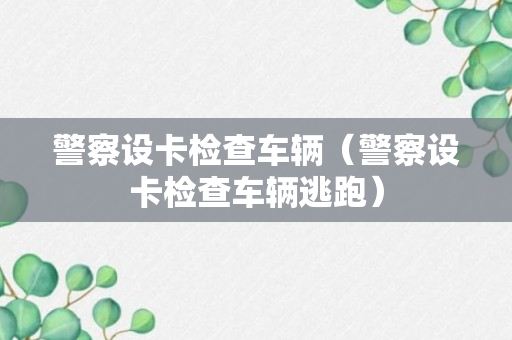 警察设卡检查车辆（警察设卡检查车辆逃跑）