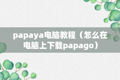 papaya电脑教程（怎么在电脑上下载papago）