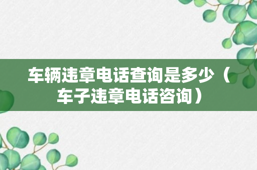 车辆违章电话查询是多少（车子违章电话咨询）