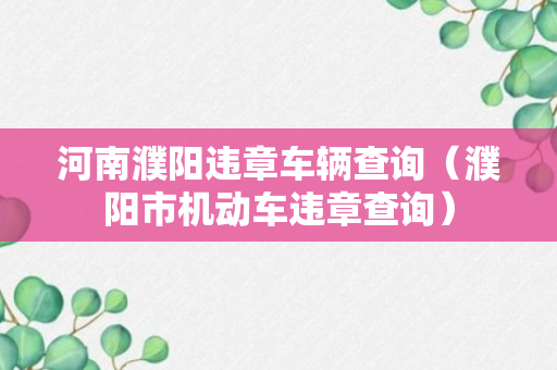 河南濮阳违章车辆查询（濮阳市机动车违章查询）