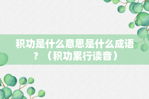 积功是什么意思是什么成语？（积功累行读音）