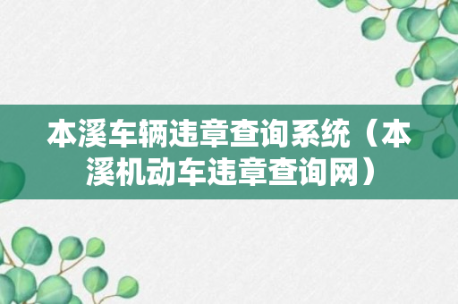 本溪车辆违章查询系统（本溪机动车违章查询网）