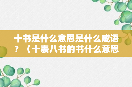 十书是什么意思是什么成语？（十表八书的书什么意思）