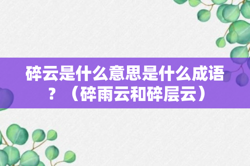 碎云是什么意思是什么成语？（碎雨云和碎层云）