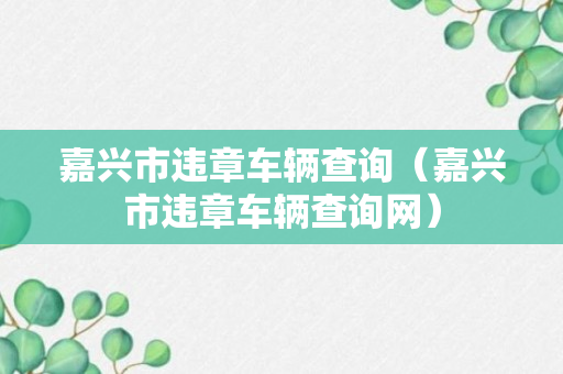 嘉兴市违章车辆查询（嘉兴市违章车辆查询网）