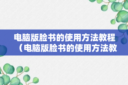 电脑版脸书的使用方法教程（电脑版脸书的使用方法教程图解）