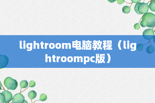 lightroom电脑教程（lightroompc版）