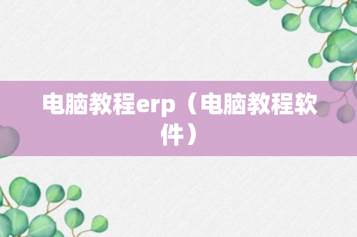 电脑教程erp（电脑教程软件）