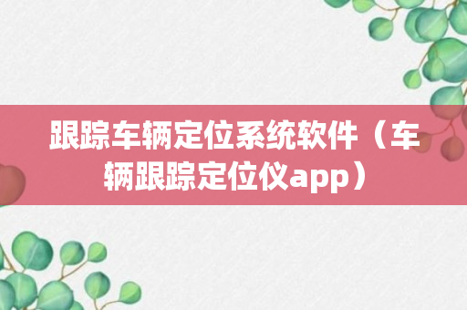 跟踪车辆定位系统软件（车辆跟踪定位仪app）