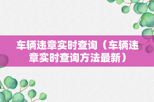 车辆违章实时查询（车辆违章实时查询方法最新）