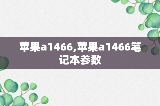 苹果a1466,苹果a1466笔记本参数