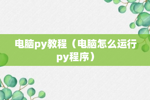 电脑py教程（电脑怎么运行py程序）