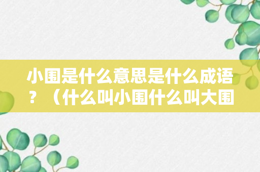 小围是什么意思是什么成语？（什么叫小围什么叫大围）